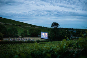 Ciné Vignes, les séances de cinéma en plein air sur la destination Sancerre-Pouilly-Giennois