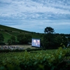affiche Ciné Vignes, les séances de cinéma en plein air sur la destination Sancerre-Pouilly-Giennois